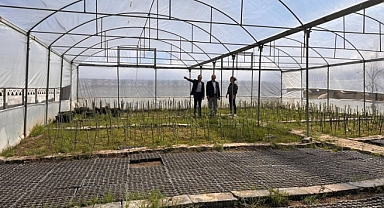 Belediye Serasında İnceleme: Üretim Çalışmaları Yerinde Görüldü