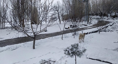 IĞDIR’DA BAHAR GELMEDEN KIŞ GERİ DÖNDÜ: KARACAÖREN BEYAZA BÜRÜNDÜ