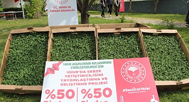 IĞDIR’DA ÜRETİCİYE DEV DESTEK: 350 BİN SEBZE FİDESİ DAĞITILDI