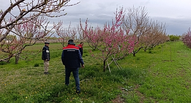 Iğdır’da Zirai Don Alarmı: Kayısı Başta, Tüm Ürünler Yakın Takipte