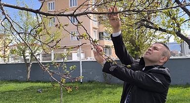 IĞDIR’DA ZİRAİ DON ALARMI: ÜRETİCİ GECEYİ BAHÇEDE GEÇİRİYOR