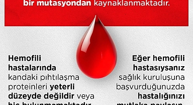 NADİR AMA ÖNEMLİ: HEMOFİLİDE ERKEN FARKINDALIK HAYAT KURTARIYOR