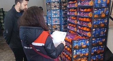 Toptancı Hallerinde Pestisit Alarmı: Sıkı Denetim Başladı