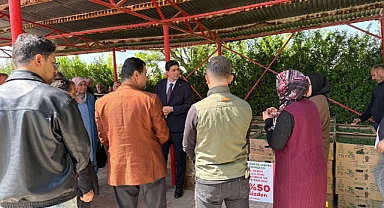 Üreticiye Can Suyu: 37 Bin 632 Fide Toprakla Buluştu