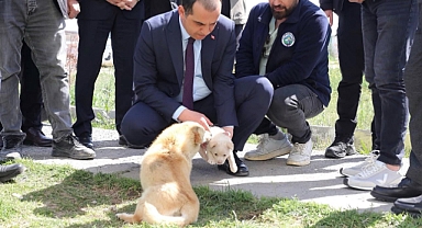 VALİ TAŞOLAR’DAN HAYVAN BAKIMEVİNE ZİYARET: YENİ ADIMLAR MASADA