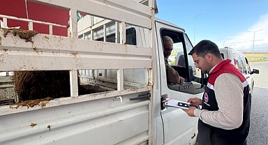 Bayram Öncesi Sıkı Denetim: Iğdır’da Hayvan Sevkleri Mercek Altında