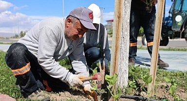 IĞDIR BELEDİYESİ’NDEN YEŞİL DOKUNUŞ: ŞEHİR GENELİNDE ÇALIŞMALAR SÜRÜYOR