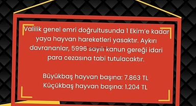 IĞDIR’DA YAYA HAYVAN SEVKİNE SIKI TEDBİR: YASAĞI İHLAL EDENE YÜKLÜ CEZA