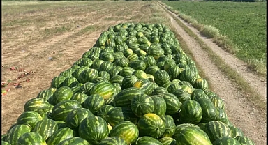 Iğdır Ticaret Odası’na Sert Tepki: Kotalar Kime Peşkeş Çekildi?