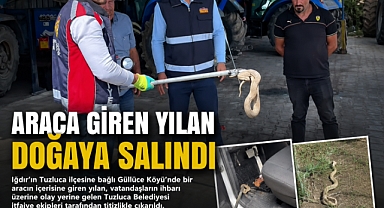 Araca Giren Yılan için Ekipleri Seferber Oldu