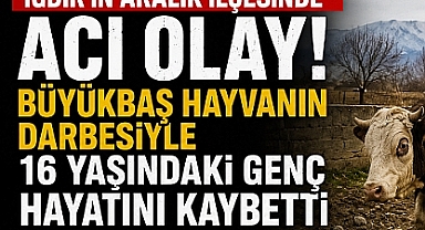 Aralık'ta Feci Ölüm! 16 Yaşındaki Gençten Acı Haber