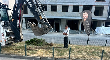 Bir Şehir Ağaç Beklerken, Mevcut Ağaçlar sökülüyor 
