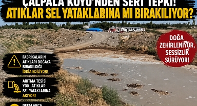 Doğamızı Zehirleyen Kimse Hesap Vermeli!