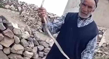 Duvar Arasında Mahsur Kalan Yılanı Çıplak Elle Kurtardı!
