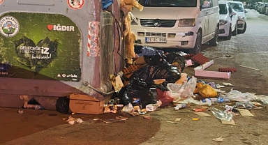     GÜL GİBİ ŞEHRİMİZİ ÇÖPLÜĞE ÇEVİRMEYİN!