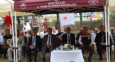 Iğdır’da Arıcılığa Büyük Destek: 300 Arılı Kovan Üreticilere Teslim Edildi