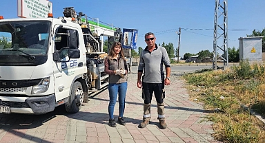 Aras EDAŞ Personelinden Örnek Duyarlılık: Yavru Atmaca Koruma Ekiplerine Teslim Edildi