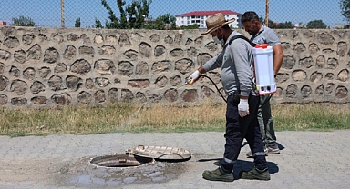 Haşereye Karşı Mücadele Sürüyor