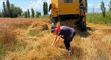 Iğdır'da Biçerdöverler Yakın Takipte: Hasatta Dane Kaybına Geçit Yok