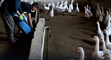 ığdır'da Bir Kadın Emeğiyle Başarı Hikâyesi Yazdı