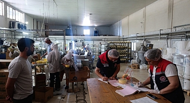 Iğdır'da Gıda Denetimleri Aralıksız Sürüyor: Numune Alımları Hız Kazandı