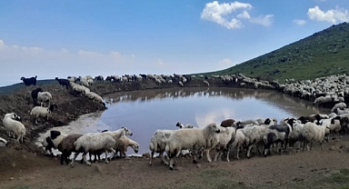 Iğdır’da Hayvancılığa Can Suyu: Kolikent Yaylasına 3 Yeni Gölet Yapılıyor