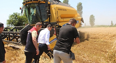 Iğdır'da Verimli Hasadın İlk Adımı: Yeni Buğday Çeşitleri Tarlada Umut Oldu