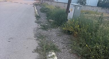     Kurumlar Birbirini İşaret Ediyor, Vatandaş Mağdur Oluyor!