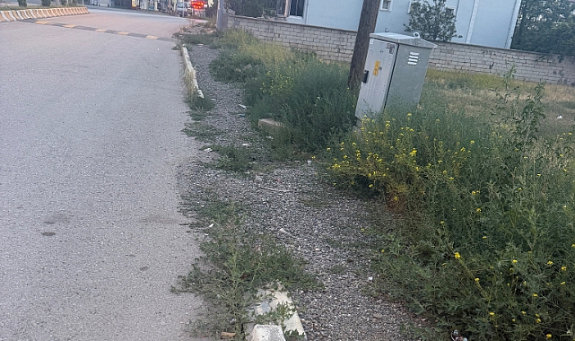     Kurumlar Birbirini İşaret Ediyor, Vatandaş Mağdur Oluyor!